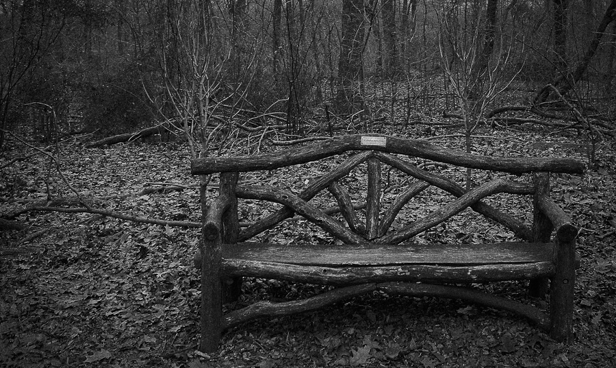 Sofa in Central Park, New&nbsp;York