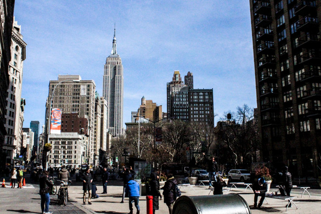Madison-Square-Park_2