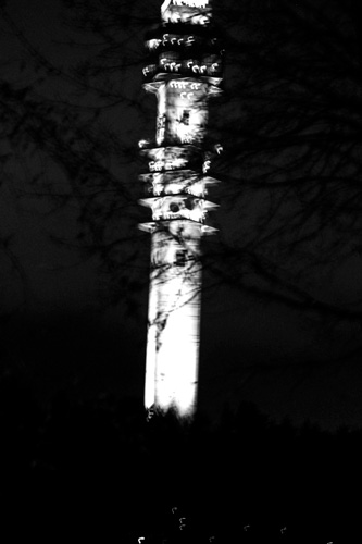 OiC-29-nov-Foto-Peter-Nyberg