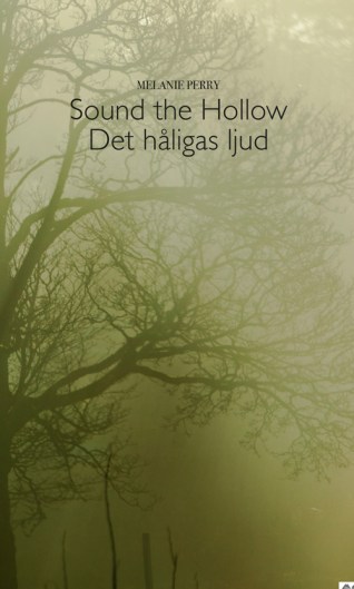 OmslagSound-the-Hollow-Det-håligas-ljud