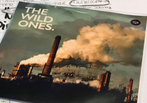 Jag är bland de&nbsp;vilda