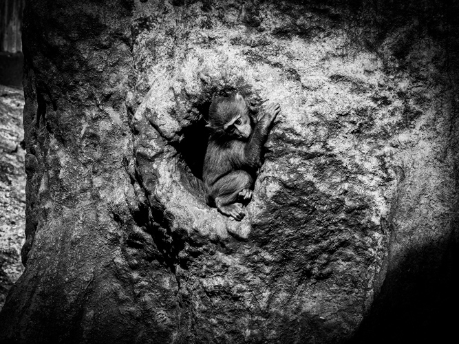 Fotografier sommaren 2020