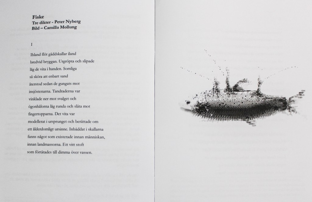 Fiskesvit i Periferi&nbsp;7