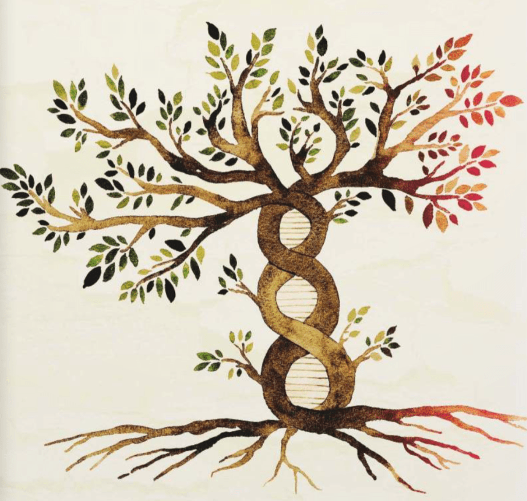 Abstrakt och visuellt debut: Om Martin Hallbergs&nbsp;Tensegritet