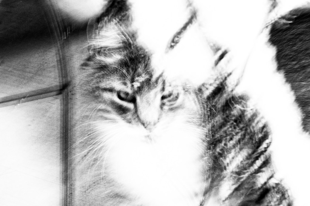 Fotovecka 2: Svartvitt